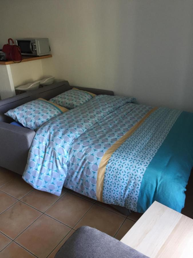 Appartement Residence Prive Avec Parking Wifi Clim Piscine Αβινιόν Εξωτερικό φωτογραφία
